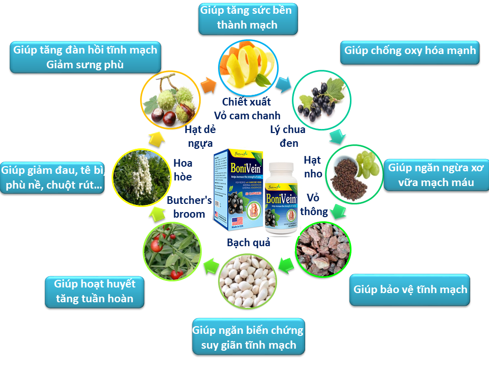 Thành phần toàn diện của BoniVein +